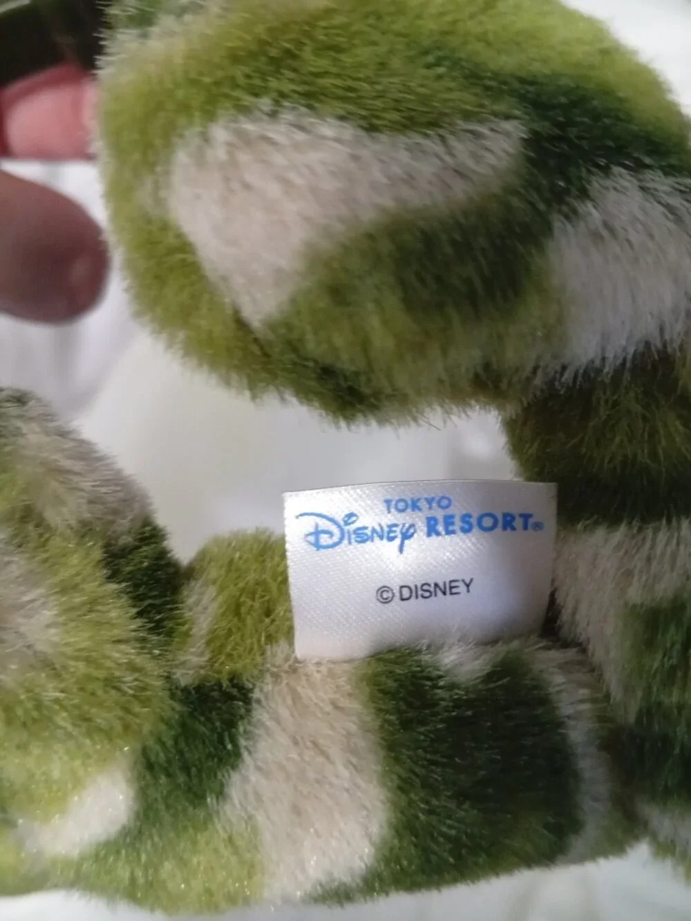 Disney tokyo resorts